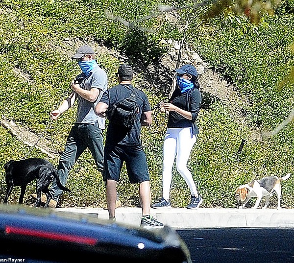 Prince Harry and Meghan Markle Walking Their Dogs Oz and Beagle In LA