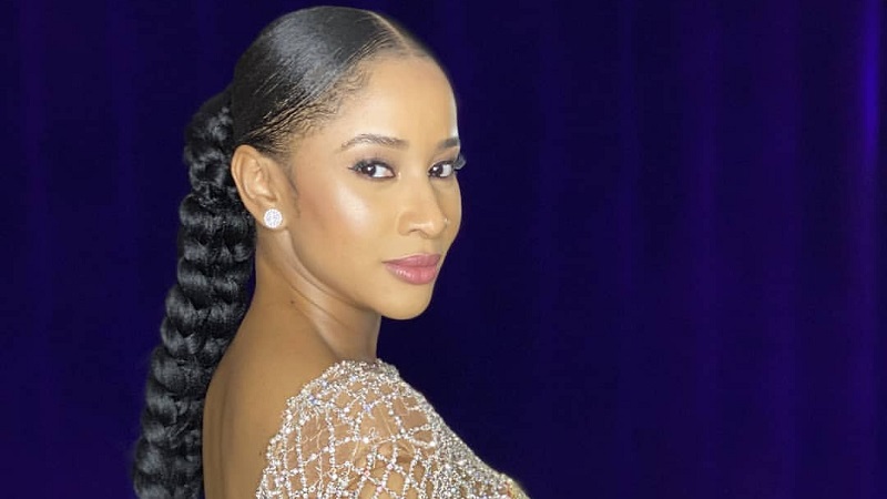 Adesua Etomi Messy Hair Braid Hairstyle