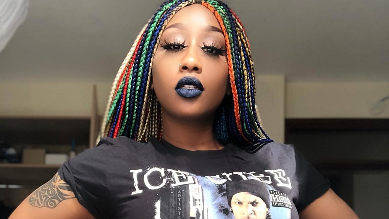 victoria-kimani-colorful-braids-hairstyle