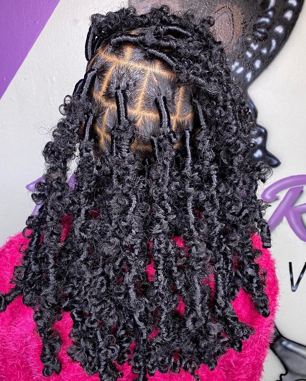 Butterfly Locs Trend 2020