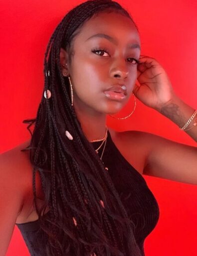 Box Braids You Have To Wear Before The Next Year