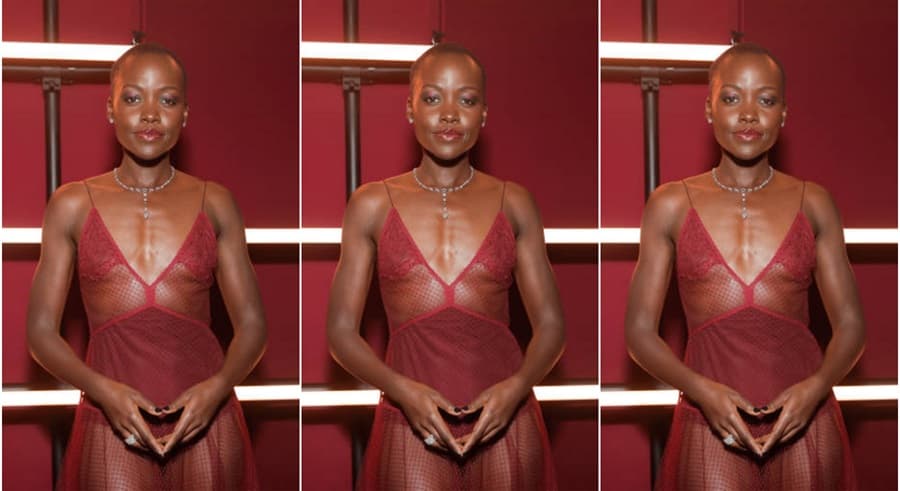Lupita Nyong'o Wore a Fishnet Sheer Gown at the LACMA Art+Film Gala FPN