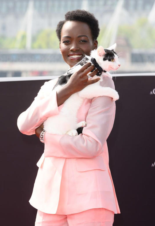 Lupita Nyong'o arrived the red carpet in a pink pantsuit along with her cat during 