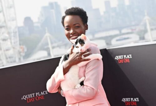 Lupita Nyong'o arrived the red carpet in a pink pantsuit along with her cat during
