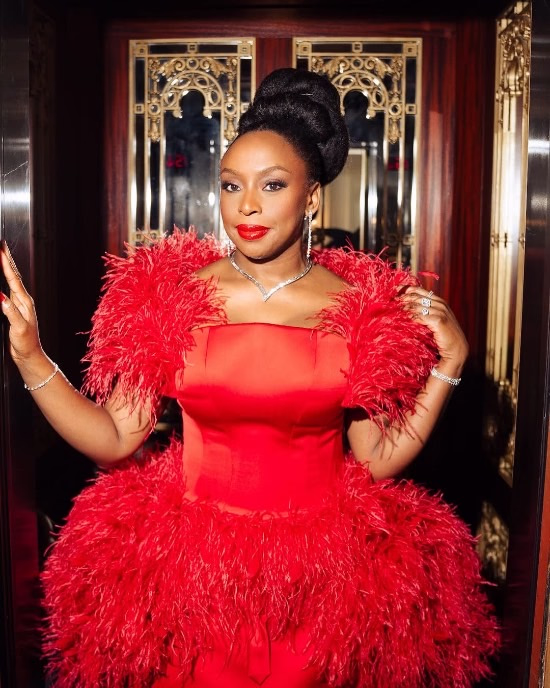 Chimamanda Ngozi Adichie Made A Stunning Met Gala Debut in A Cherry Red Gown