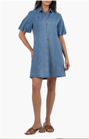 Blanca Denim Mini Shirtdress