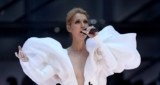 Celine Dion Wore A Giant Mutton-Sleeved Gown To 2017 Billboard Music Awards