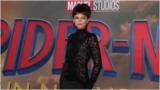 Zendaya Looks Pretty in a Web-Slinging Ashi Studio Gown