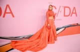 The Best Red Carpet Looks From the 2019 CFDA Fashion Awards