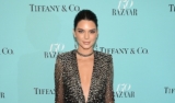 Kendall Jenner Looks Amazing In A Plunging Sequinned Gown