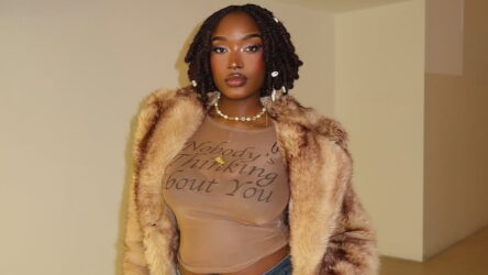 Everything to Know About the Coco Twist Hairstyle