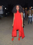 Solange Knowles Shows The Hottest Color Everyone Will Be Wearing For Fall
